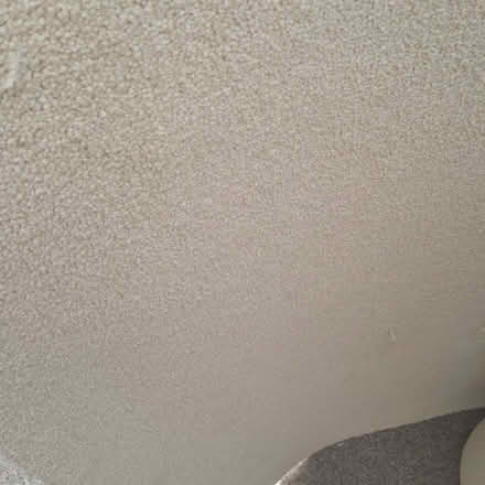 Photo of free Off-cut carpets (Eastbourne BN20) #2