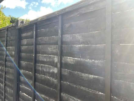 Photo of A single close boarded fence panel (Burnham SL1) #1