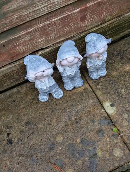 Photo of free trio of garden gnomes (Pant SY10) #1