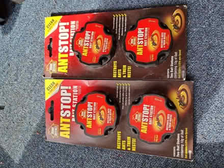 Photo of free Ant bait station (Emmer Green RG4) #1