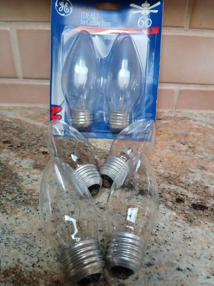 Photo of free 60 watt ceiling fan bulbs (Ortega Park, Sunnyvale) #1