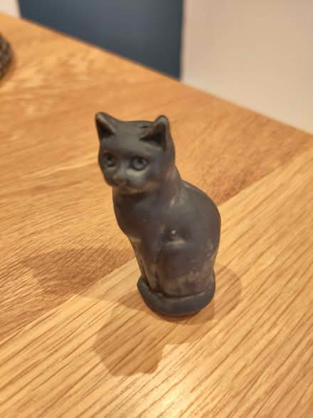 Photo of free Cat light pull (Berkhamsted HP4) #2