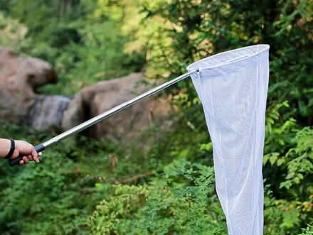 Photo of Butterfly net for project (Greenwich SE10) #1