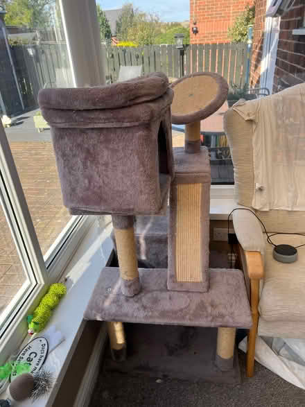 Photo of free Cat Tree (Sacriston DH7) #1