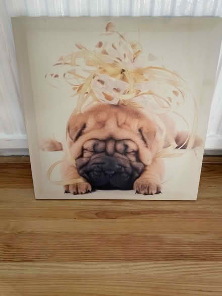 Photo of free Picture (Langley SL2) #1