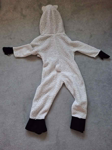 Photo of free Sheep costume (Newall LS21) #3