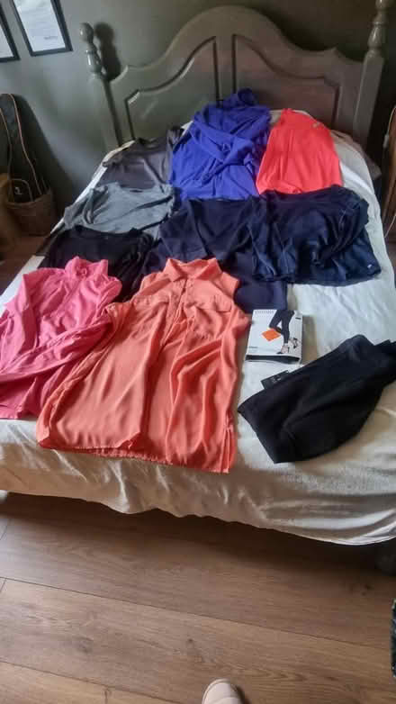 Photo of free Size 16 ladies tops (Baillieston, Glasgow G69) #1