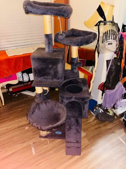 Photo of free Grey cat tree (North Hollywood) #2