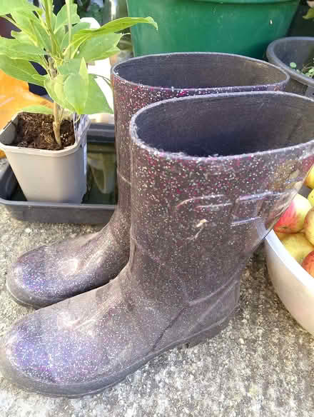Photo of free Wellies size uk7 / EUR 40 (Minchery Farm OX4) #1