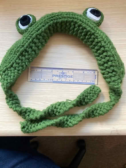 Photo of free Frog headband. Fits any size of head. (Adel LS16) #1