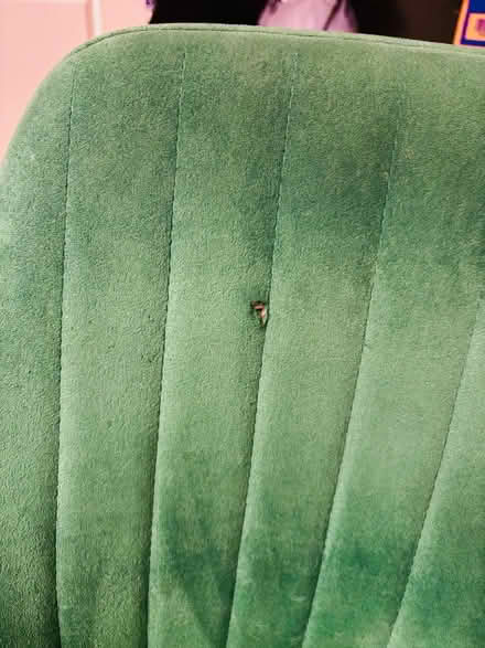 Photo of free Green “velvet” chair (amazon) (North Hollywood) #1