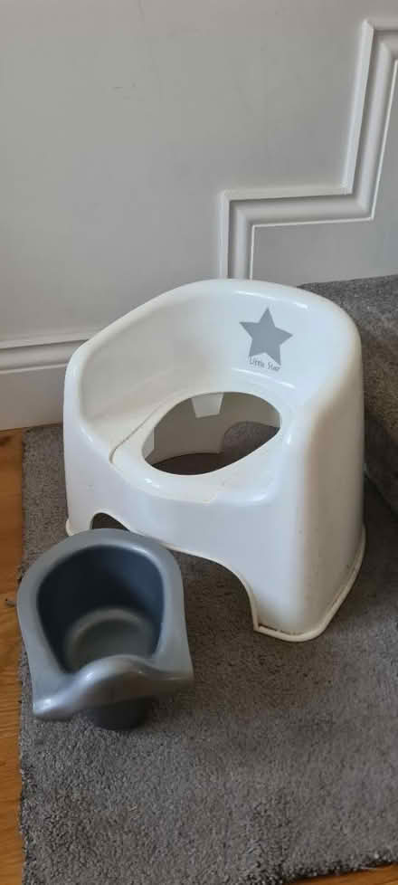 Photo of free Potty (N17 Tottenham Hale) #2