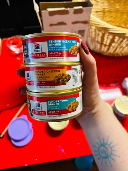 Photo of free Cat and kitten wet food (North Hollywood) #1