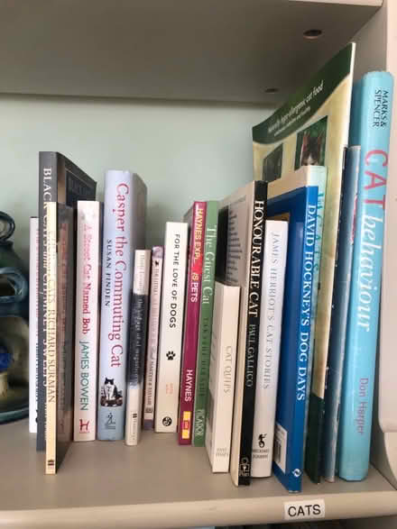 Photo of free Cat books (Barnes SW13) #1