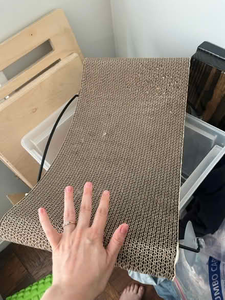 Photo of free Cat windowsill item (Woodley Park) #1