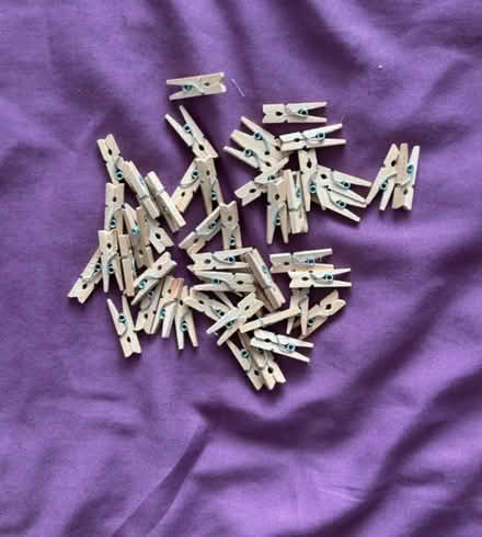 Photo of free 48 mini pegs (Bs15 4ub) #2
