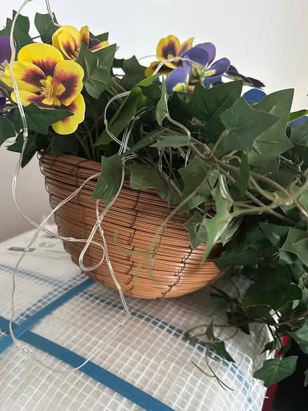 Photo of free Garden Misc. (incl set of 10 solar) (Wolverhampton WV10) #1