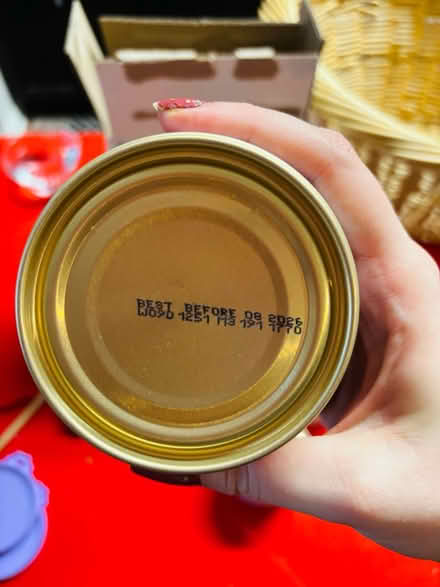 Photo of free Cat and kitten wet food (North Hollywood) #4