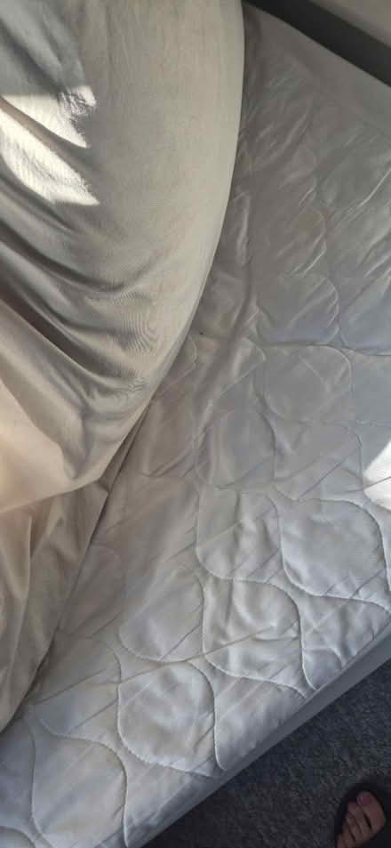 Photo of free Single bed and mattress (Abbeydale Gloucester) #3