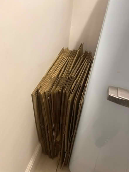 Photo of free Large moving boxes (Crouch End N8 9) #2