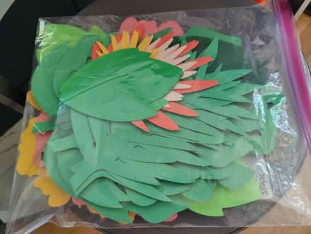 Photo of free Flower/Leaf Paper decorations (Mountain View) #1