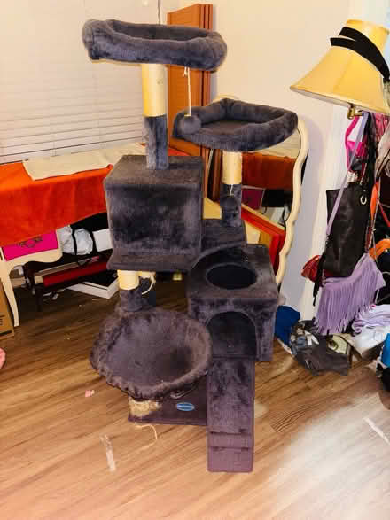 Photo of free Grey cat tree (North Hollywood) #1