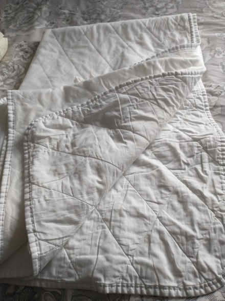 Photo of free Mattress protector for pet bedding (Endmoor LA8) #1