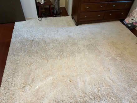 Photo of free Large Shag Rug (Near college of dupage) #2