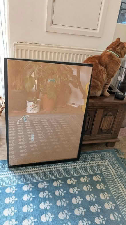 Photo of free Photo frame (Henbury) #3
