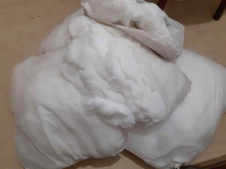 Photo of free Cushion pads/soft toy stuffing (Mildmay N1) #1