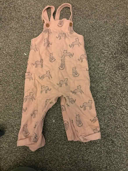 Photo of free 6-9 month baby clothes (Childwall L16) #3