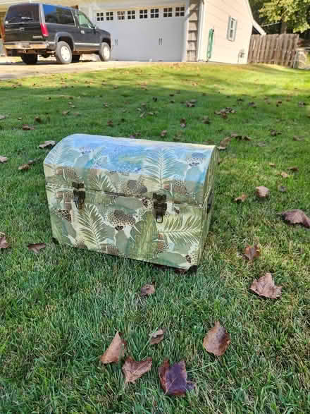Photo of free Treasure Chest Anyone? (Bowie) #1