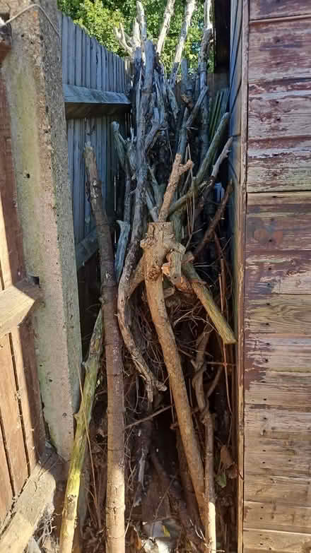 Photo of free Fire wood (Hemel Hempstead hp2 5) #1