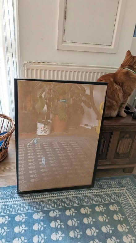 Photo of free Photo frame (Henbury) #2