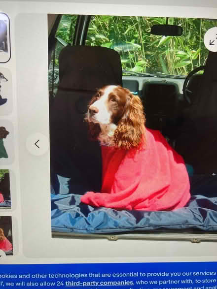 Photo of free Dog red towelling bag with zip. (Upper Radley OX14) #1