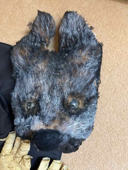 Photo of free Halloween selection (Dinton SP3) #3