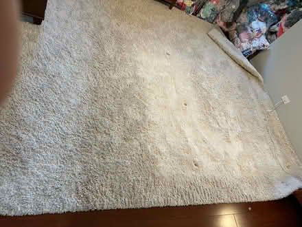 Photo of free Large Shag Rug (Near college of dupage) #3