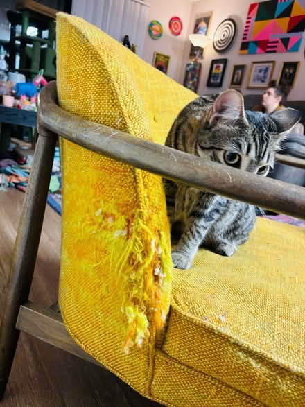 Photo of free Authentic Mid century lounge chair (North Hollywood) #4