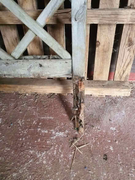 Photo of free A trellis needs repair (Street on the Fosse BA4) #2