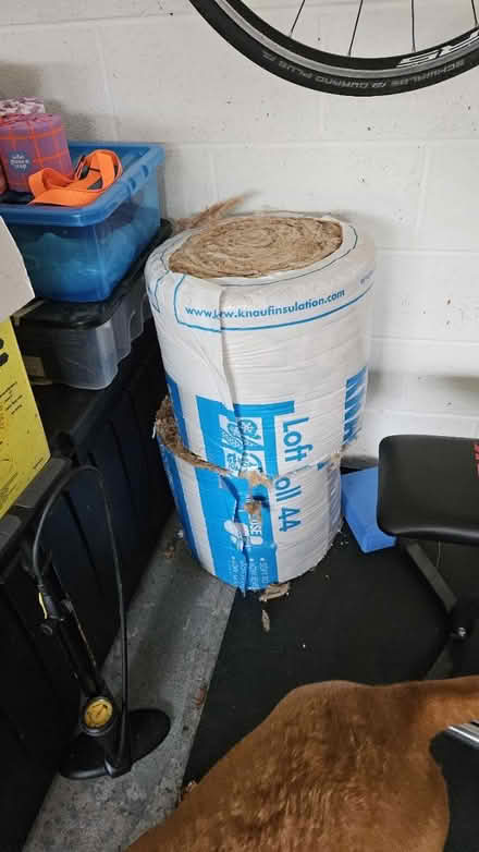 Photo of free Loft insulation (Bay Horse) #1