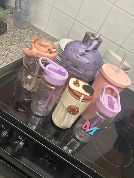 Photo of free Bottles (Bechstein meadow BA14) #1