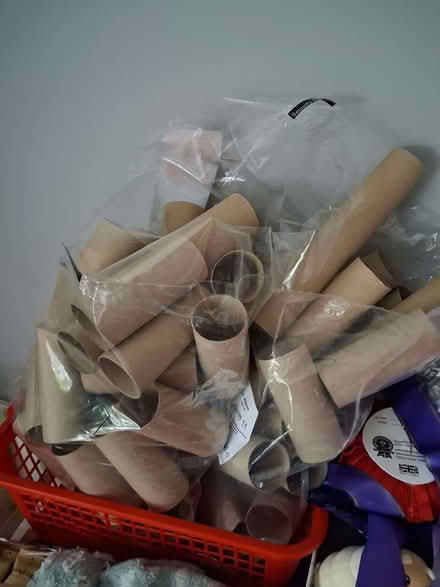 Photo of free Toilet roll tubes (Lostock Hall PR5) #1