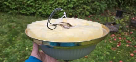 Photo of free Ceiling light fixture - works fine (Bells Corners) #2