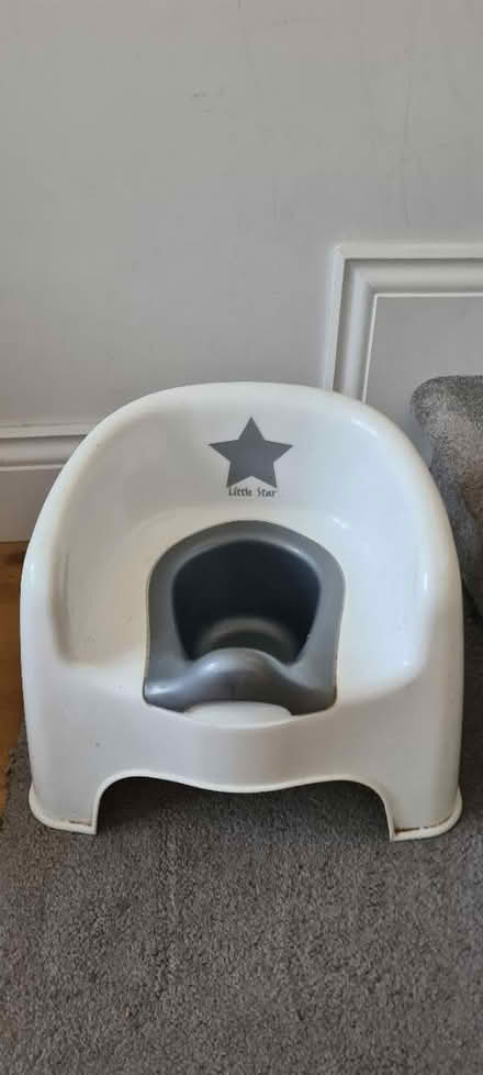 Photo of free Potty (N17 Tottenham Hale) #1