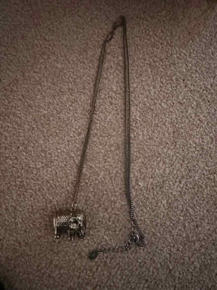 Photo of free Long elephant necklace (RG30, Reading West) #1