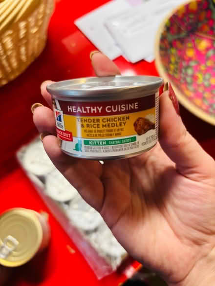 Photo of free Cat and kitten wet food (North Hollywood) #2