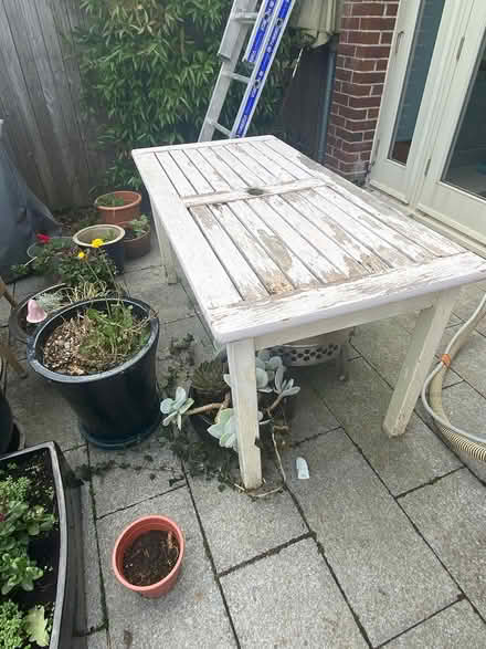 Photo of free Garden (Dublin 14) #1