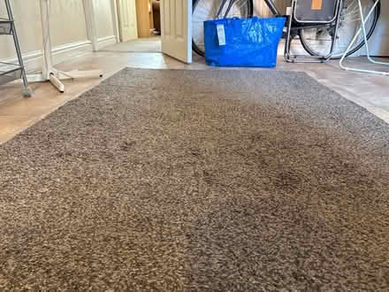 Photo of free Rug (Long Eaton NG10) #2