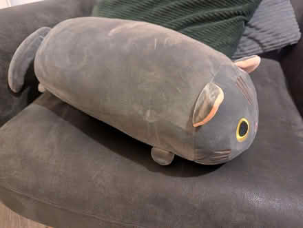 Photo of free Cuddly cat (Ingol PR2) #2