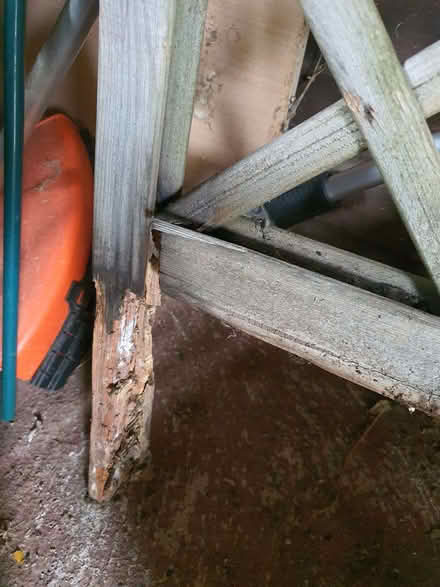 Photo of free A trellis needs repair (Street on the Fosse BA4) #3